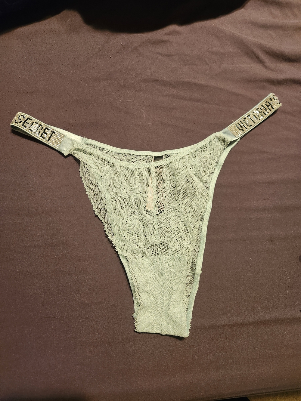 Victoria's Secret Lace Panty in Light Mint